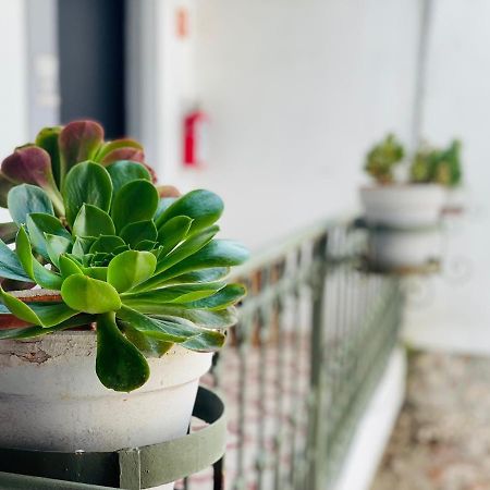 Kuku Ruku Hotel Querétaro Eksteriør billede