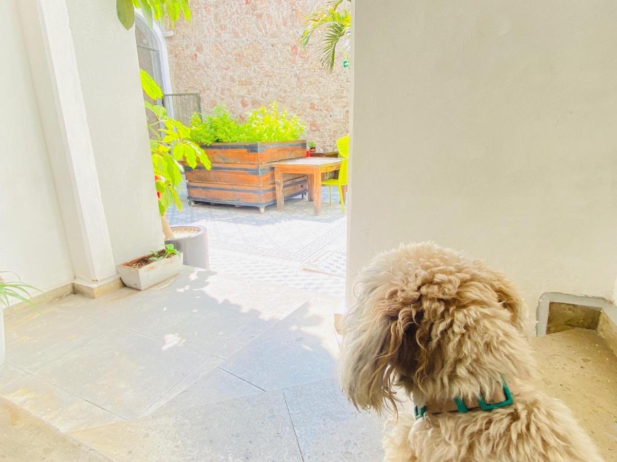 Kuku Ruku Hotel Querétaro Eksteriør billede