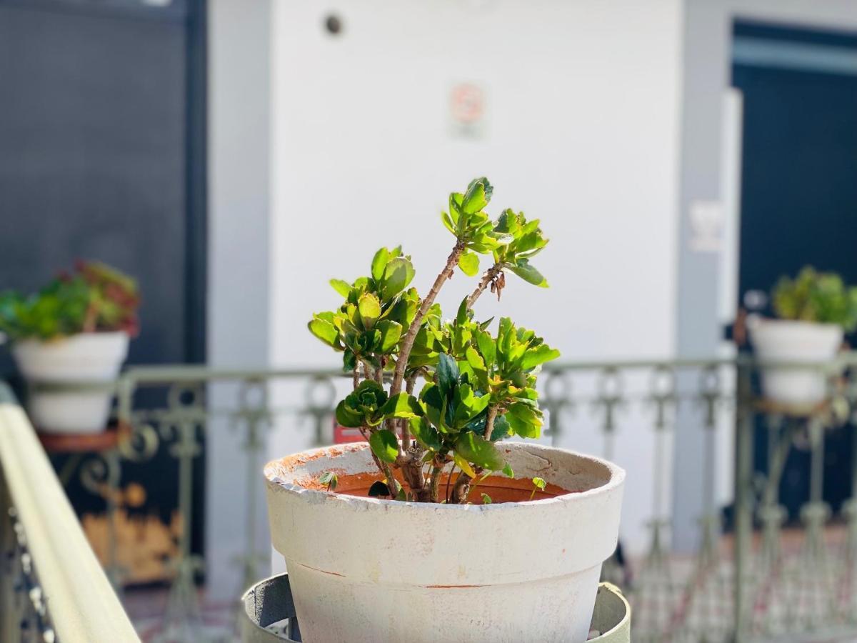 Kuku Ruku Hotel Querétaro Eksteriør billede